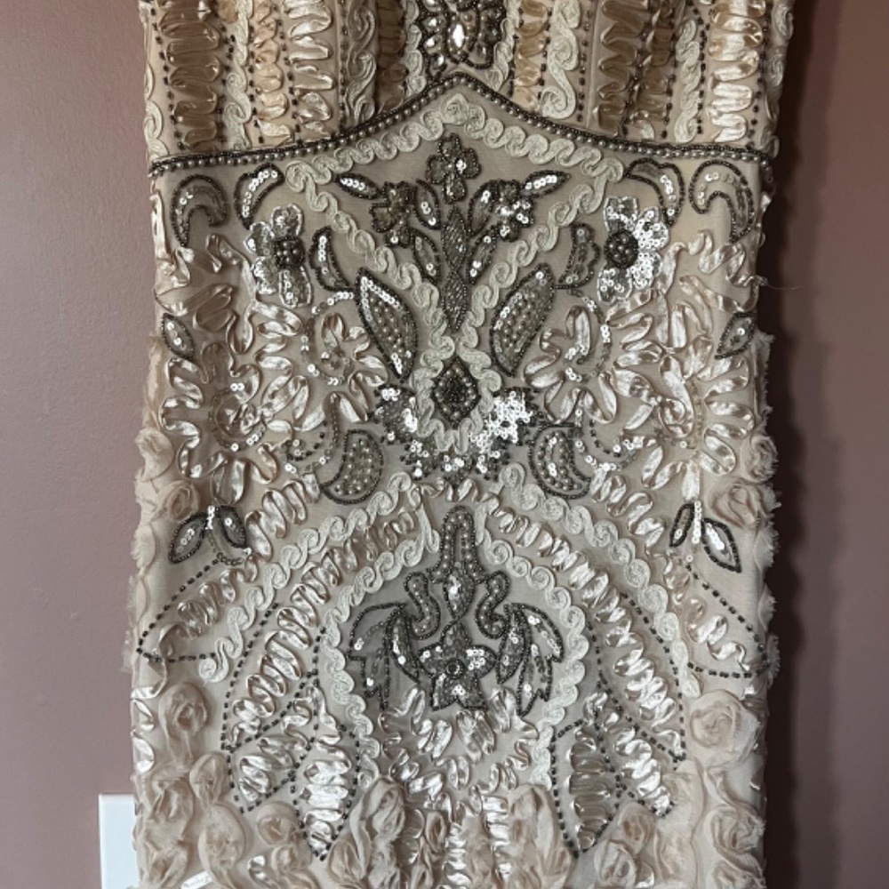 Ivory Sue Wong Nocturne Gown - Size 8 - Picture 3 of 3